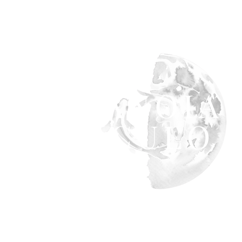 Metanoia Oráculo