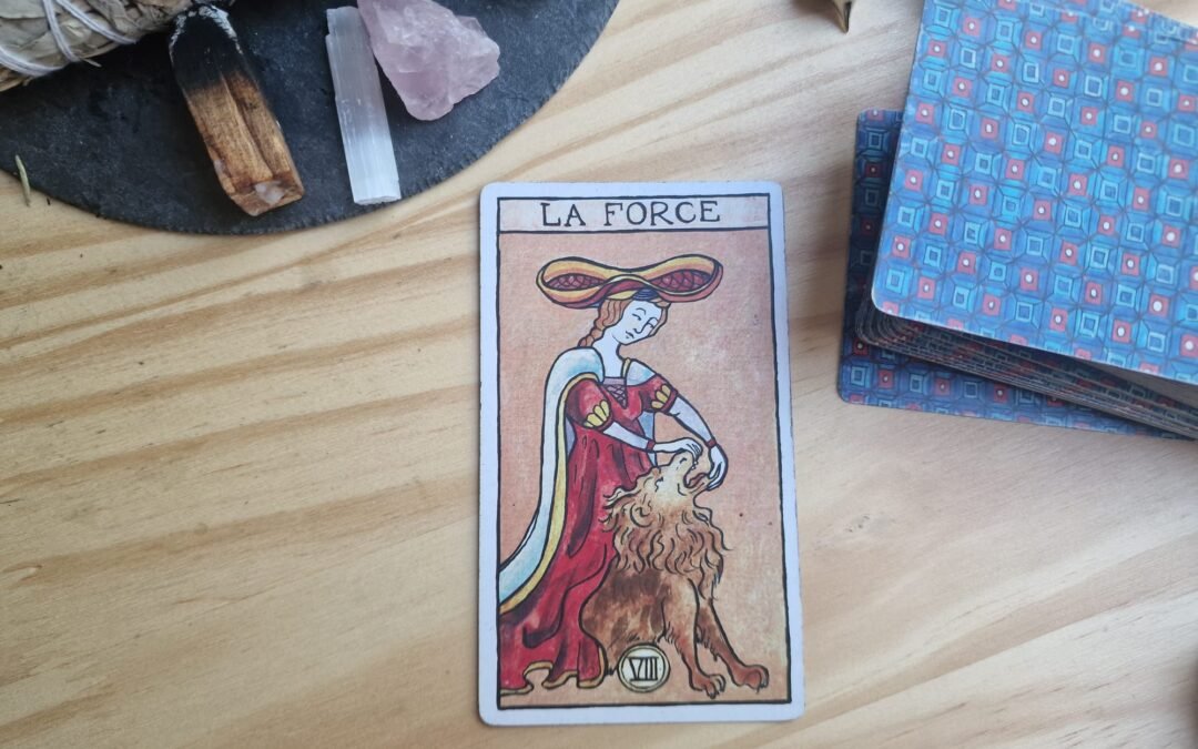 Día 8 – La Fuerza